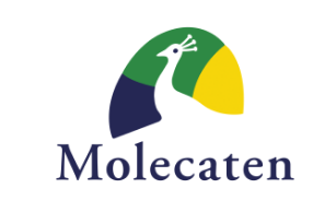 molecaten rabatt